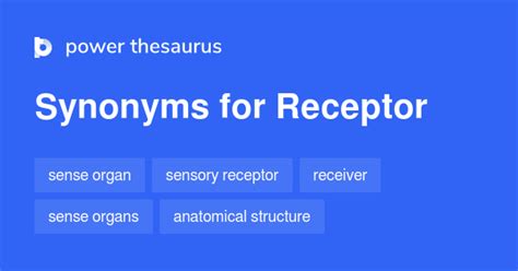 receptor synonym|9 Receptor Synonyms. Similar words for Receptor. .